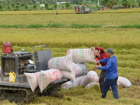 Phó Thủ tướng: 'Nông nghiệp bảo đảm vững chắc an ninh lương thực quốc gia và duy trì xuất khẩu'