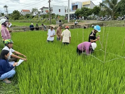 Nông dân Phú Yên được 'cầm tay chỉ việc' về quản lý sức khỏe cây trồng tổng hợp