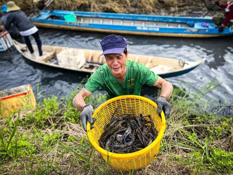 Giá trị kép từ những mô hình sinh thái nông nghiệp ở Đồng bằng sông Cửu Long