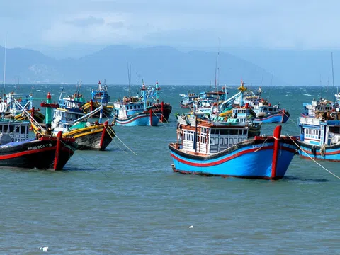 Thủ tướng: Lãnh đạo địa phương ven biển phải chịu trách nhiệm nếu để khai thác hải sản bất hợp pháp