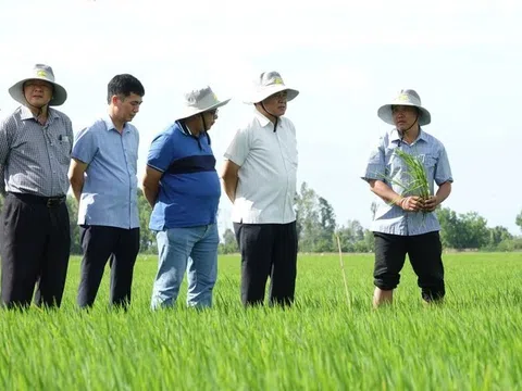 Quản lý hiệu quả nguồn nước là điều tiên quyết để thực hiện Đề án 1 triệu ha lúa chất lượng cao giảm phát thải