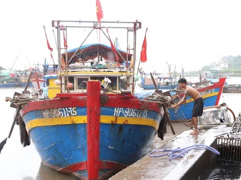 Hải Phòng ban hành công điện khẩn, chuẩn bị phương án ứng phó bão Yagi