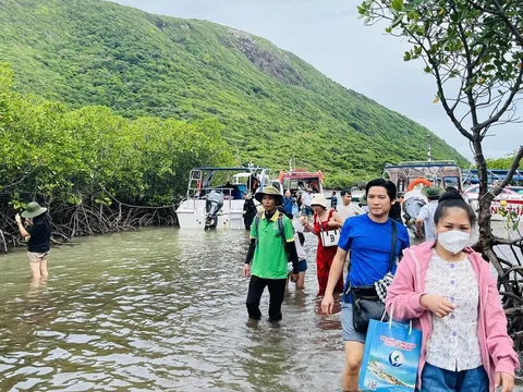 Du lịch xanh tại Việt Nam tạo đòn bẩy phát triển kinh tế gắn với bảo vệ môi trường, hướng tới mục tiêu Net Zero