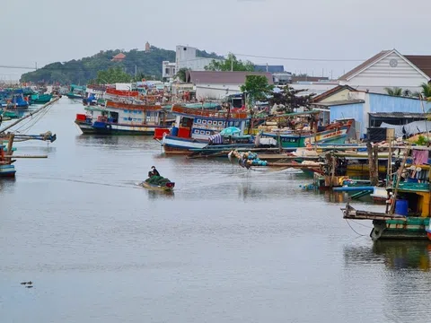 Cà Mau mở cao điểm thực hiện chống khai thác thủy sản bất hợp pháp, nỗ lực gỡ thẻ vàng EC