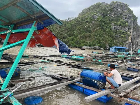 Bị tàn phá nặng nề do bão, ngành thủy sản nỗ lực vượt khó đạt mục tiêu xuất khẩu 9,5 tỷ USD