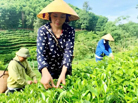 Xanh hóa ngành nông nghiệp – Làn gió mới trong kinh tế nông thôn