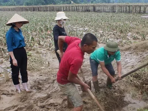 Chịu thiệt hại nặng nề do bão lũ, Lào Cai đề nghị hỗ trợ các loại giống cây trồng để khôi phục sản xuất