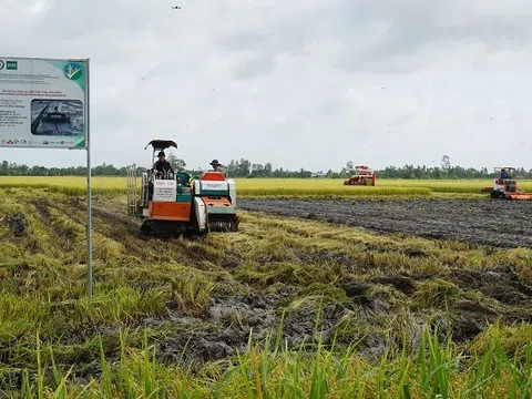 Trồng lúa phát thải thấp giúp tăng lợi nhuận và giảm gần 5 tấn/hecta phát thải khí nhà kính