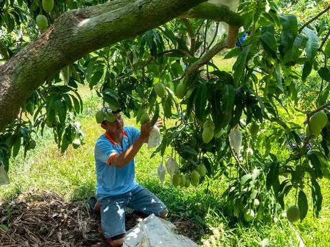 Có nhiều lợi thế, nhưng vì sao thu hút đầu tư nước ngoài vào Đồng bằng sông Cửu Long vẫn thấp nhất cả nước?