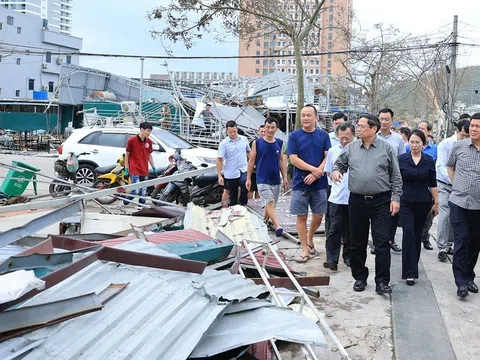 Thủ tướng: Triển khai các biện pháp nhanh chóng phục hồi sản xuất nông nghiệp, ổn định đời sống Nhân dân