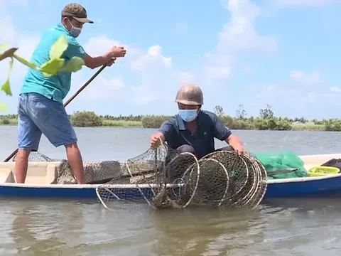 Nuôi thủy sản xen canh kết hợp trồng lúa giúp nông dân 'bỏ túi' từ 80 đến 100 triệu đồng