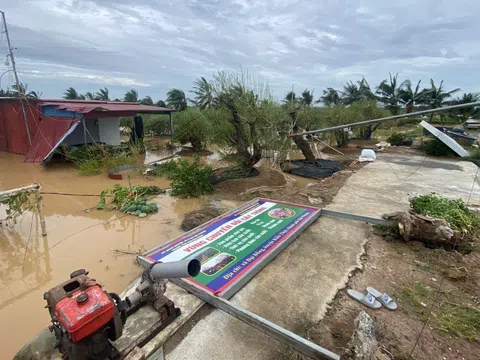 Phục hồi sinh kế cho người dân sau bão lũ, không để xảy ra dịch bệnh trong sản xuất nông, lâm, ngư nghiệp