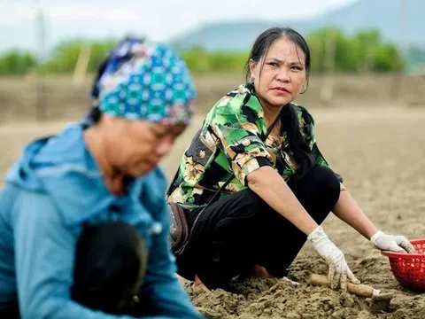 Một nông dân sản xuất kinh doanh giỏi đạt doanh thu 150 tỷ đồng/năm