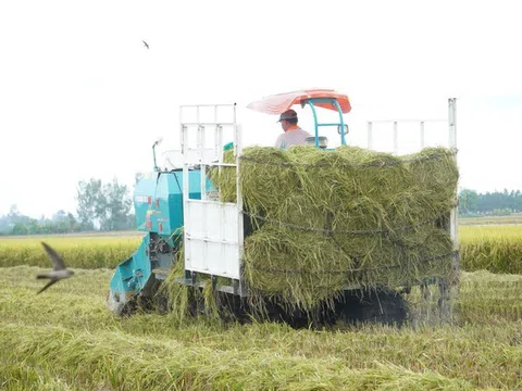 Tăng cường năng lực sản xuất lúa phát thải thấp và bền vững ở Đông Nam Á hướng đến nền nông nghiệp tăng trưởng xanh