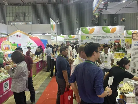 Ngành thực phẩm đón xu hướng đề cao các sản phẩm có tính xanh - bền vững của người tiêu dùng