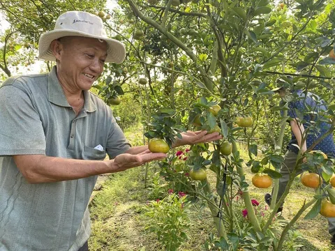 Tăng trưởng ấn tượng trong 9 tháng, cần tạo thêm động lực mới cho phát triển kinh tế những tháng cuối năm