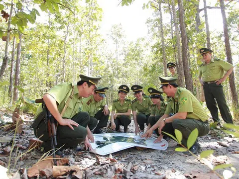 Cả nước vẫn còn 95 công ty nông, lâm nghiệp chưa hoàn thành sắp xếp, đổi mới