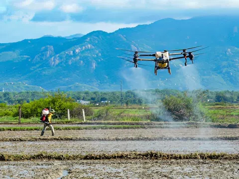 Đề cao vai trò của khoa học, công nghệ và đổi mới sáng tạo trong việc thúc đẩy hòa bình và phát triển bền vững