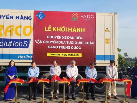 Tiền Giang xuất khẩu lô dừa tươi đầu tiên sang Trung Quốc tiếp tục khẳng định vị thế 'thủ phủ' trái cây