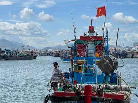 Chống vi phạm quy định IUU cần tăng mức xử phạt và xoá bỏ toàn bộ tàu “3 không”