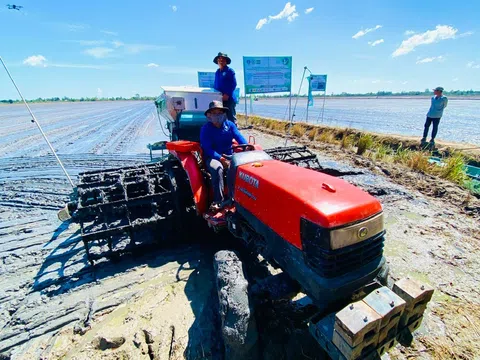 Nguồn vốn cho vay Đề án 1 triệu ha lúa chất lượng cao đang rất dồi dào với lãi suất ưu đãi và không phải thế chấp