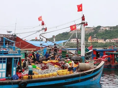 Hải Phòng tăng cường phối hợp các lực lượng chung sức cùng cả nước gỡ 'thẻ vàng' IUU