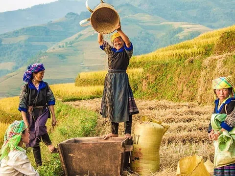 Du lịch nông thôn phải gắn với các sản phẩm du lịch đặc sắc bắt nhịp xu thế và thị hiếu của du khách