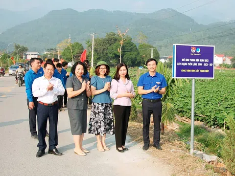 Huyện Tam Đảo (Vĩnh Phúc): Bước chuyển mới từ Mô hình Thanh niên xung kích xây dựng thôn, làng “xanh - sạch - đẹp”