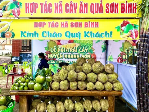 Liên kết chuỗi sản xuất tiêu thụ giúp nông sản miền núi Khánh Hòa vươn xa các thị trường