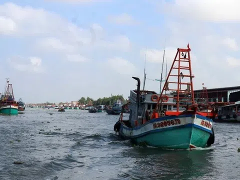 Quyết tâm thực hiệu hiệu quả các khuyến nghị của EC, Kiên Giang chuyển biến tích cực trong công tác phòng chống IUU