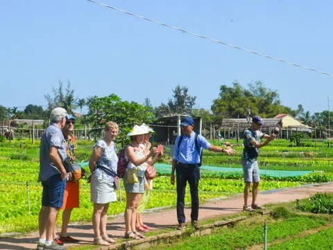 Hội nghị quốc tế về du lịch nông thôn: Cơ hội hợp tác quốc tế phát triển du lịch nông thôn bền vững