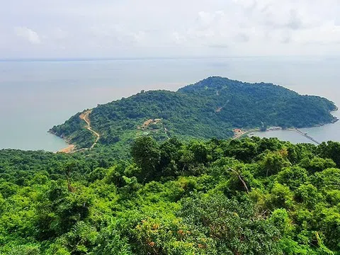 Quản lý, bảo vệ và phát triển các loài sinh vật đặc hữu, quý hiếm trong khu bảo tồn biển Cà Mau