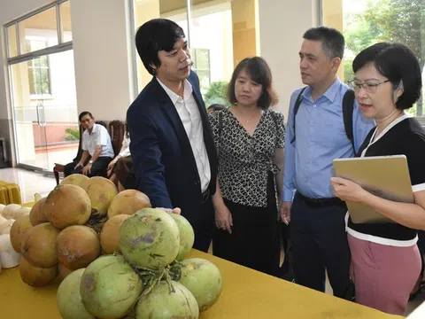 Khơi nguồn vốn đầu tư gia tăng giá trị ngành dừa trở thành một ngành hàng bền vững, tích hợp đa giá trị