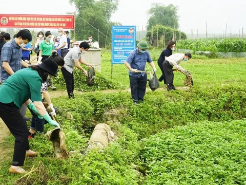 Các tỉnh, thành phố khẩn trương báo cáo công tác bảo vệ môi trường trước ngày 10/1/2025