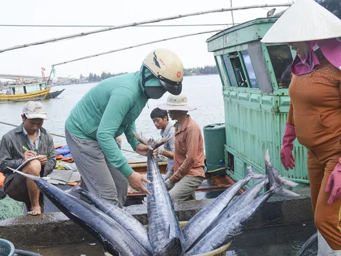 Chuyển đổi nghề cho ngư dân cần tạo sự đồng thuận với mục tiêu tạo việc làm, có thu nhập bền vững