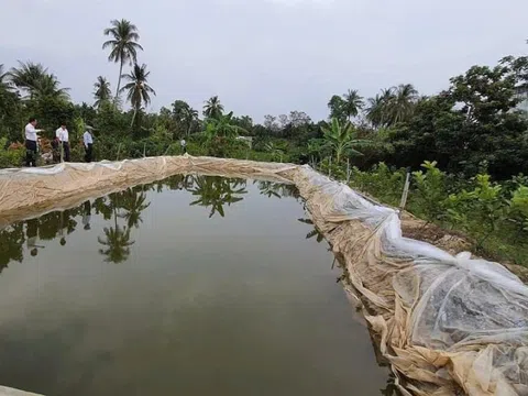 Bến Tre thực hiện phong trào “Đồng khởi” trữ nước ngọt chống xâm nhập mặn, phục vụ sản xuất đời sống người dân