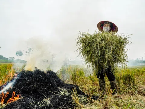 Thủ đô quyết tâm xóa bếp than tổ ong, đốt rơm rạ và thu hút các dự án xử lý rác thải công nghệ cao