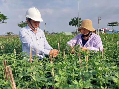 Nông dân sản xuất kinh doanh giỏi là nhân tố quan trọng giúp ngành nông nghiệp tăng trưởng ổn định