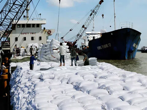 Giá gạo giảm sâu, Bộ Công Thương đưa giải pháp bền vững là nâng cao chất lượng gạo và xây dựng thương hiệu