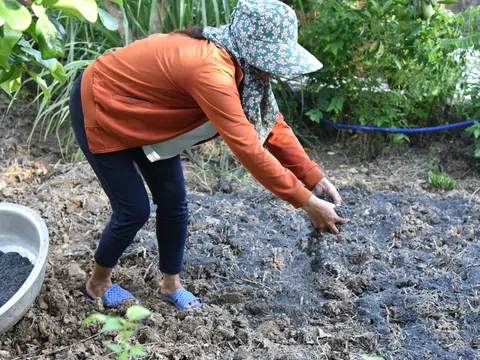 Biochar - bước tiến quan trọng trong nông nghiệp tuần hoàn giúp bảo vệ đất và sức khỏe cây trồng