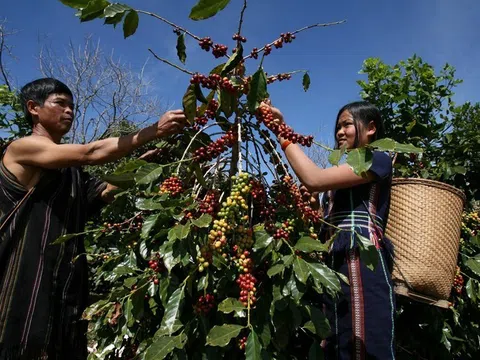 Hợp tác EU - Việt Nam: Đưa nông nghiệp trở thành trọng tâm trong các sáng kiến về khí hậu và kinh tế