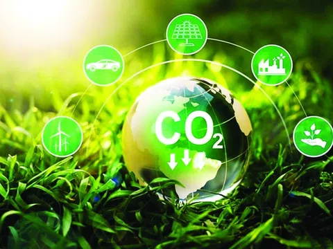 Phê duyệt Đề án Thành lập và phát triển thị trường carbon tại Việt Nam