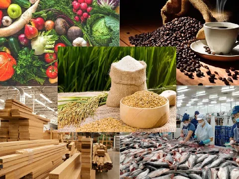Xuất khẩu nông lâm thủy sản tận dụng lợi thế kỳ vọng bứt phá những kỷ lục mới