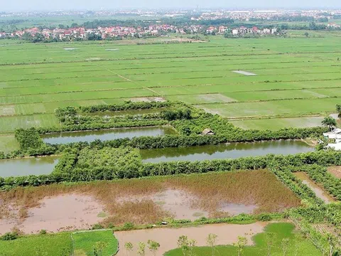 Bộ Tài chính đề xuất miễn tiền thuê đất lên tới 15 năm cho dự án đầu tư nông nghiệp