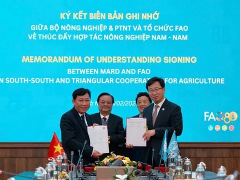 FAO: Hỗ trợ tài chính quốc tế cho ngành Nông nghiệp Việt Nam là rất cần thiết