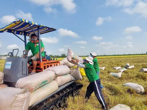 Thách thức về những thay đổi chính sách thị trường xuất khẩu và những giải pháp ứng phó của nông sản Việt