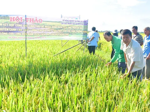 An Giang đẩy mạnh phát triển nông nghiệp bền vững khẳng định vai trò trụ đỡ của nền kinh tế