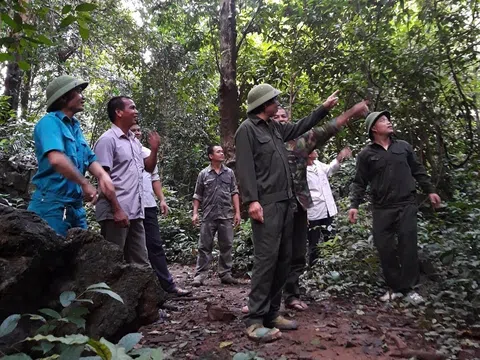 Lạng Sơn tiên phong trong phát triển kinh tế xanh, nỗ lực kiến tạo một tương lai bền vững