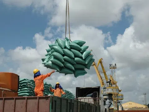 Thị trường gạo giảm giá do xu hướng 'xả hàng', gạo Việt giữ vị thế nhờ nâng cao chất lượng và xây dựng thương hiệu