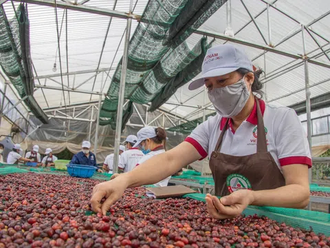 Doanh nghiệp của Việt Nam phản ứng nhanh nhạy, giữ nhịp tăng trưởng trước biến động của thương mại toàn cầu